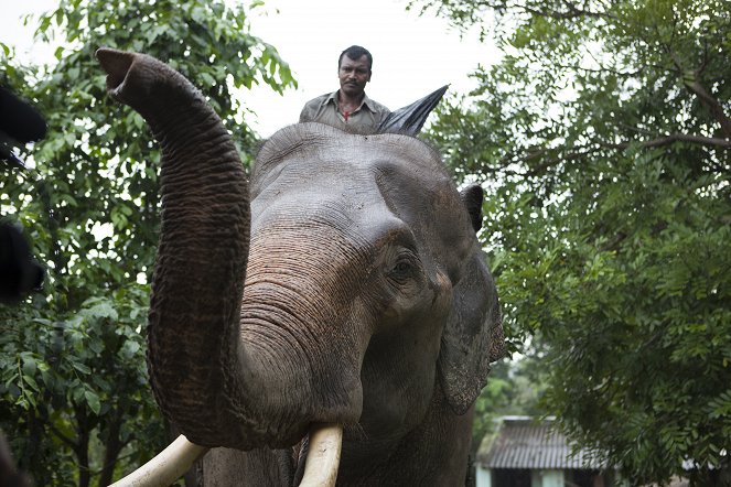 Tough Rides: India - Filmfotos