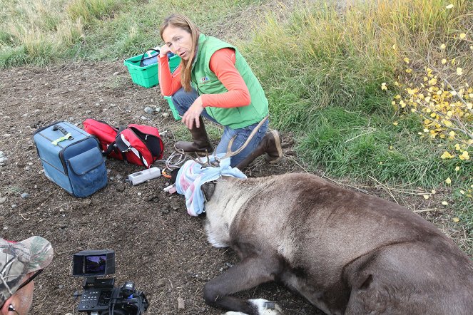 Dr. Oakley, Yukon Vet - Film