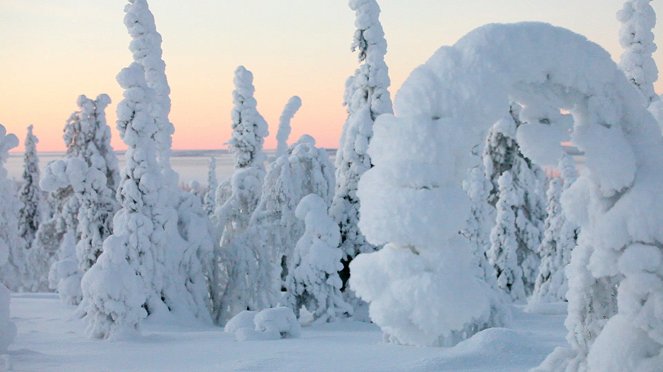 Aatsinki: The Story of Arctic Cowboys - Z filmu