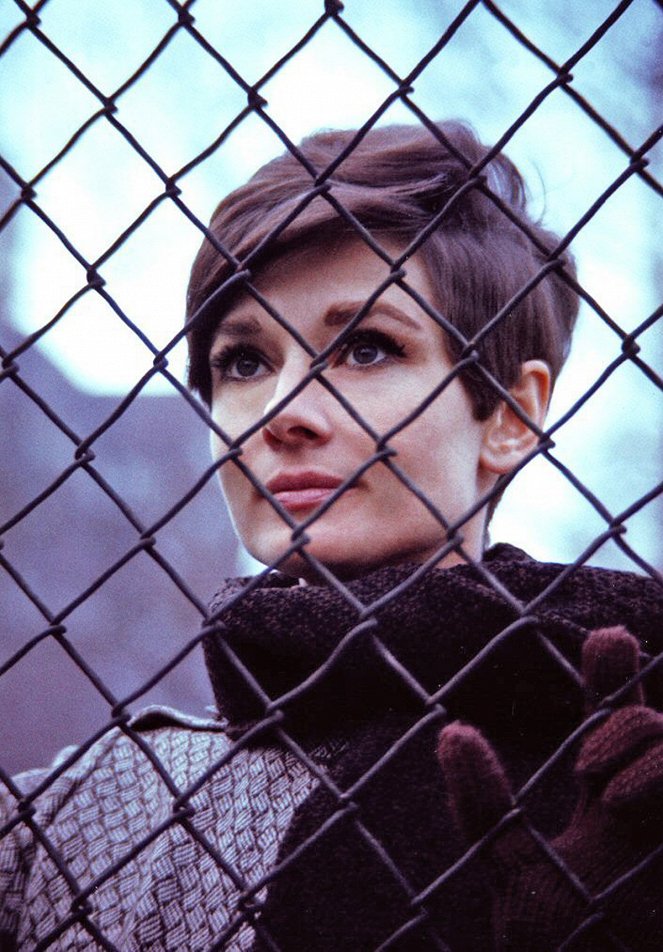 Várj, míg sötét lesz - Filmfotók - Audrey Hepburn