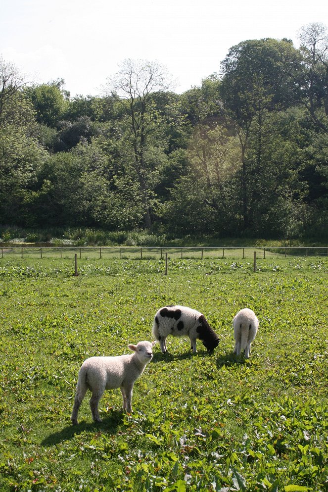 Jimmova farma - Trampoty na farmě - Z filmu