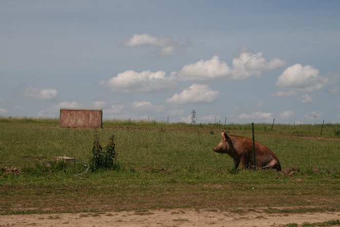 Jimmova farma - Trampoty na farmě - Z filmu