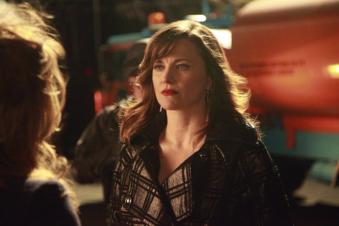 No Ordinary Family - Van film - Lucy Lawless