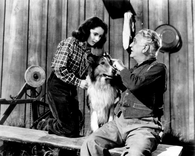 Odvážná Lassie - Z filmu - Elizabeth Taylor, Pal, Frank Morgan