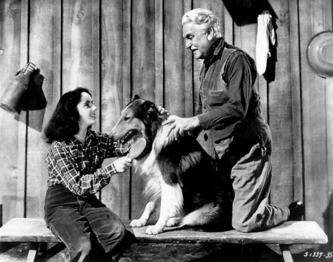 Lassie bátorsága - Filmfotók - Elizabeth Taylor, Pal, Frank Morgan