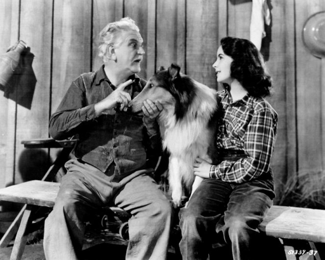 Odvážná Lassie - Z filmu - Frank Morgan, Pal, Elizabeth Taylor