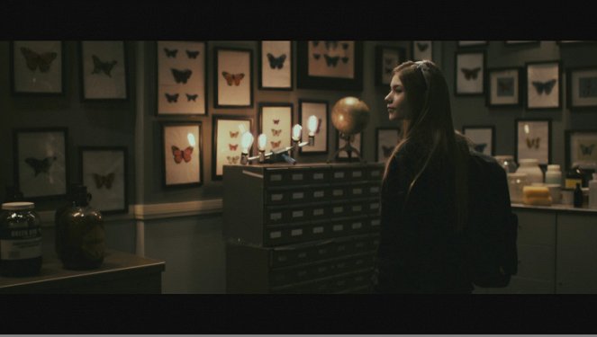 The Butterfly Room - Van film