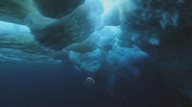 Voyage au centre de la mer - Do filme