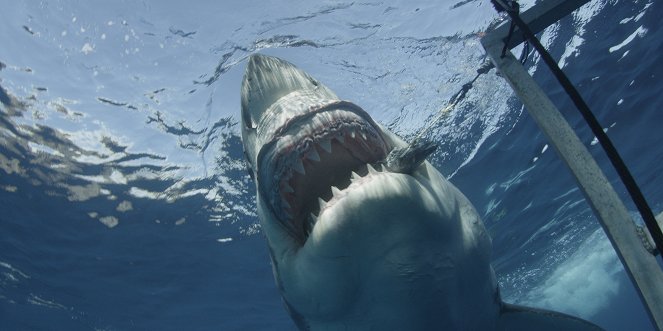 Spawn Of Jaws - Kuvat elokuvasta