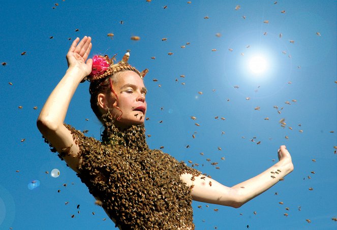 Královna slunce – co se nám včely snaží říct - Z filmu