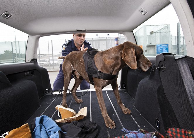 Dog Patrol - Van film