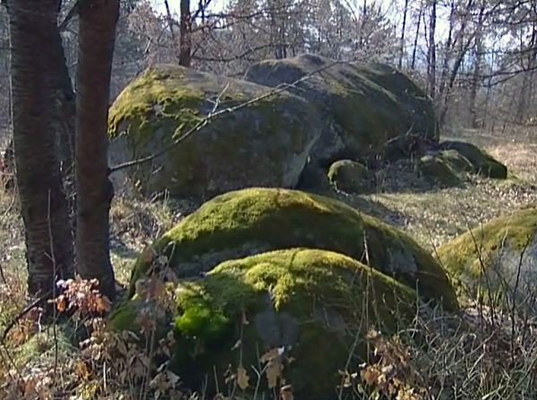 Kameny v české krajině - Film