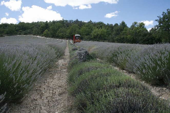 Na cestě - Na cestě po Provence - Photos