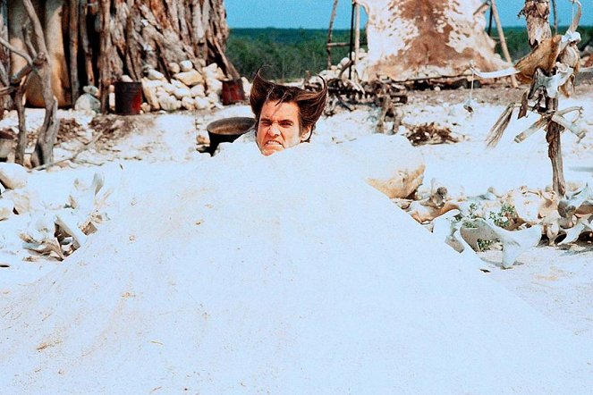 Ace Ventura - Jetzt wird's wild - Filmfotos - Jim Carrey