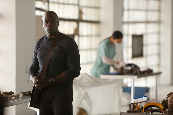 The Blacklist - Milton Bobbit (No. 135) - Van film - Hisham Tawfiq