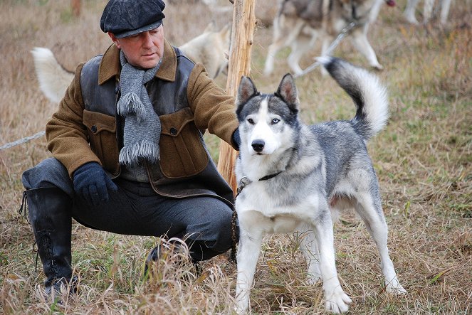 Sled Dogs - Photos