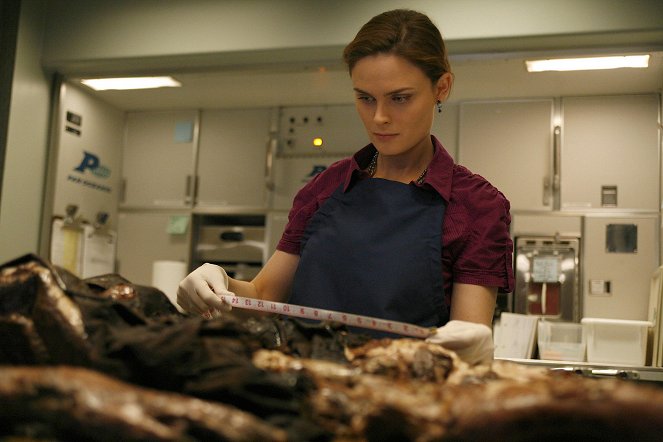 Bones - La pasajera en el horno - De la película - Emily Deschanel