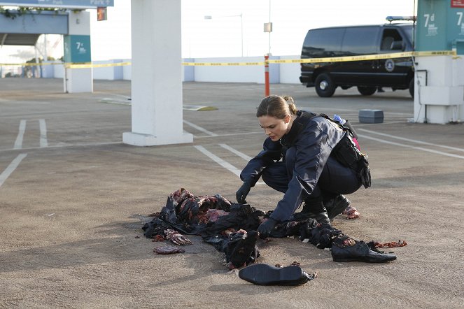Bones - Season 5 - Agentti autossa - Kuvat elokuvasta - Emily Deschanel