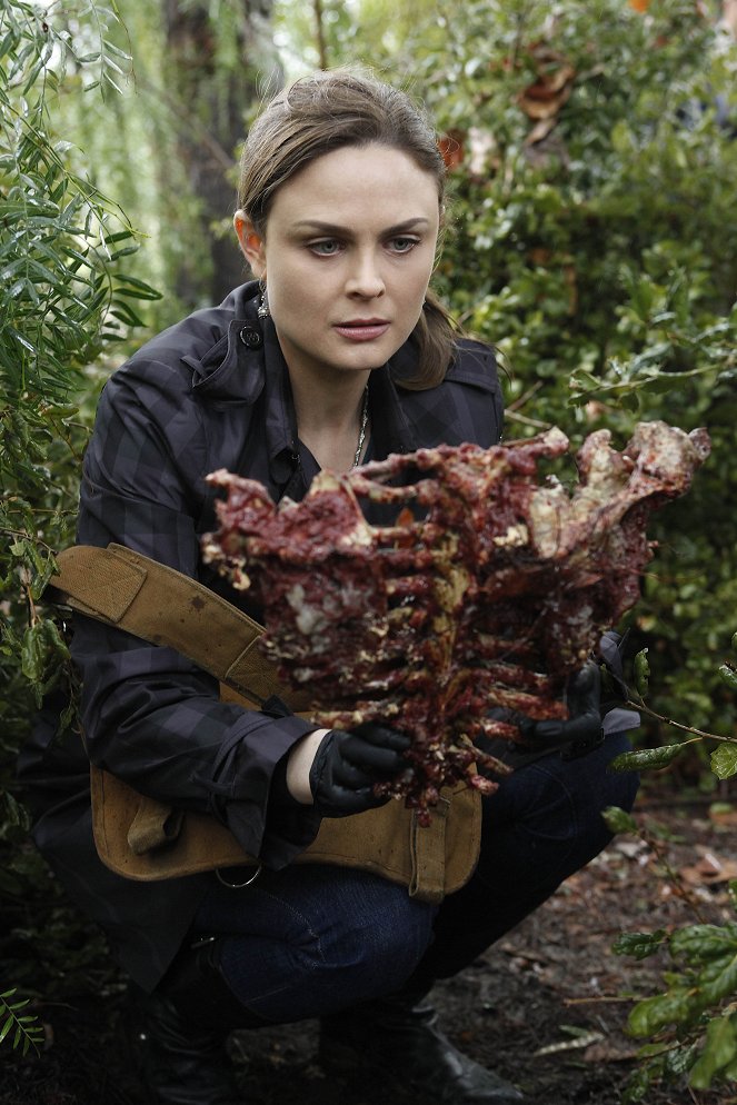 Bones - Season 5 - The Death of the Queen Bee - Photos - Emily Deschanel