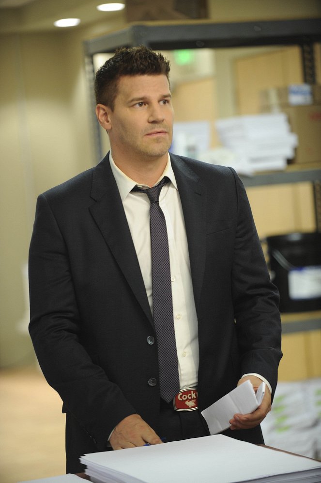 Bones - Season 7 - The Male in the Mail - Van film - David Boreanaz