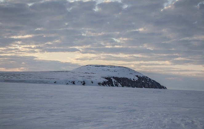 The Great Arctic - Photos