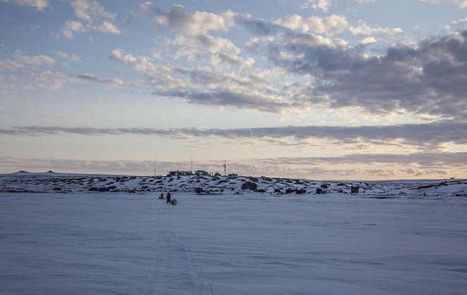 The Great Arctic - Photos