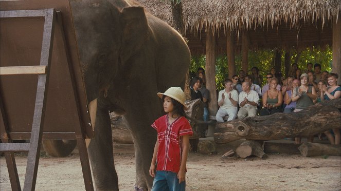 My Lucky Elephant - Filmfotók