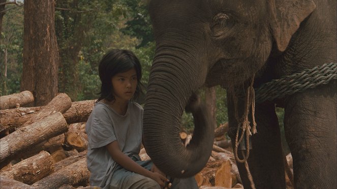 My Lucky Elephant - Z filmu