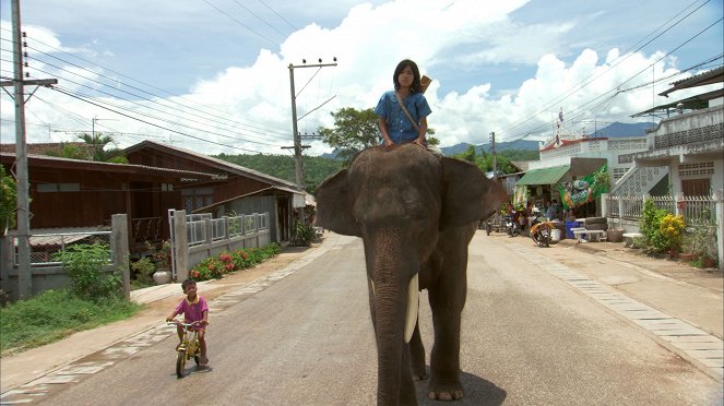 My Lucky Elephant - Filmfotók