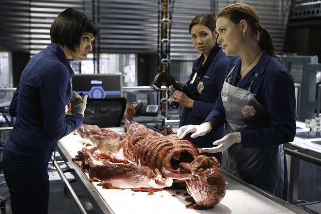 Bones - El cadáver en el dosel - De la película - Tamara Taylor, Michaela Conlin, Emily Deschanel