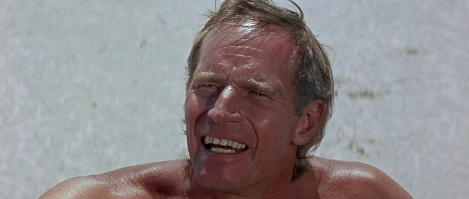 Regreso al planeta de los simios - De la película - Charlton Heston
