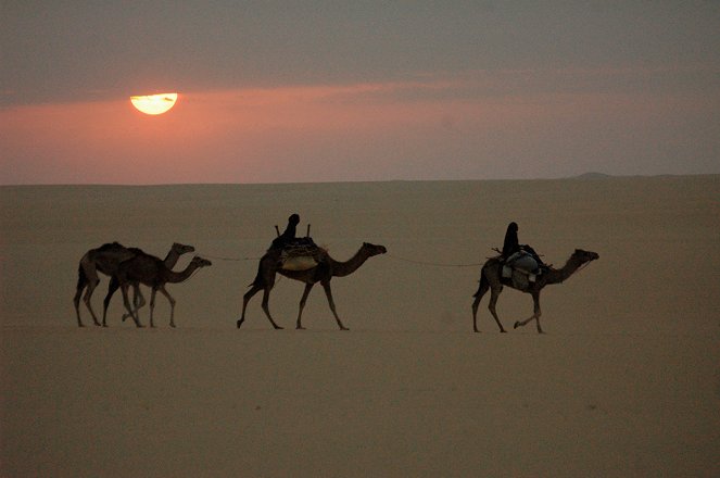 Vents de sable, femmes de roc - Film