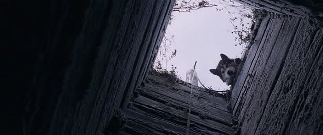 Sibir, Monamur - Van film