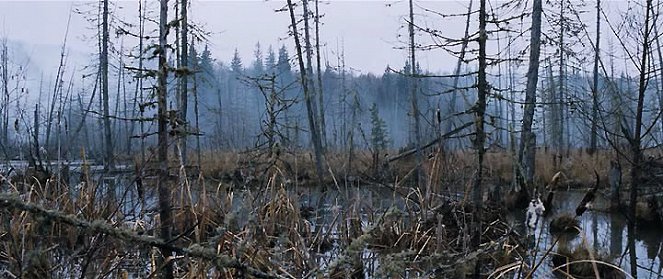 Sibir, Monamur - Z filmu