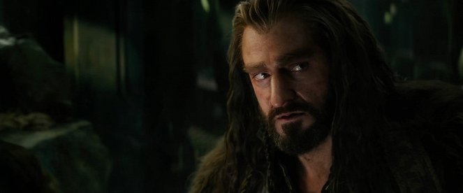 O Hobbit: A Batalha dos Cinco Exércitos - Do filme - Richard Armitage