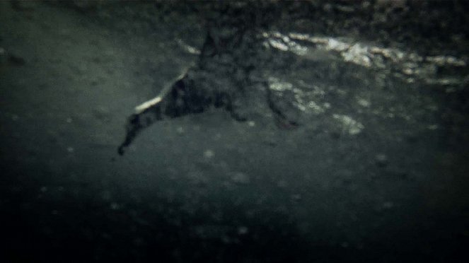 Leviathan - Kuvat elokuvasta