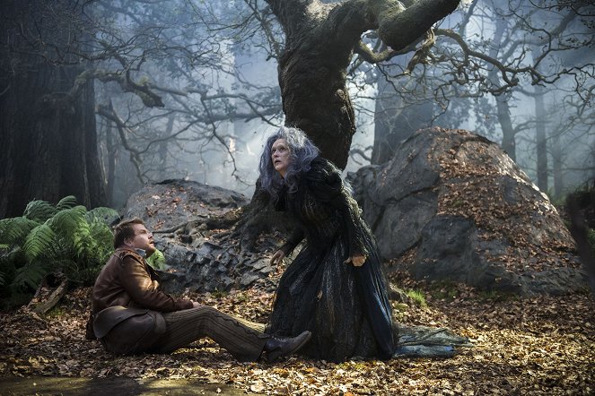 Into the Woods, Promenons-nous dans les bois - Film - James Corden, Meryl Streep