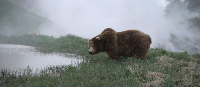 Land of the Bears - Van film
