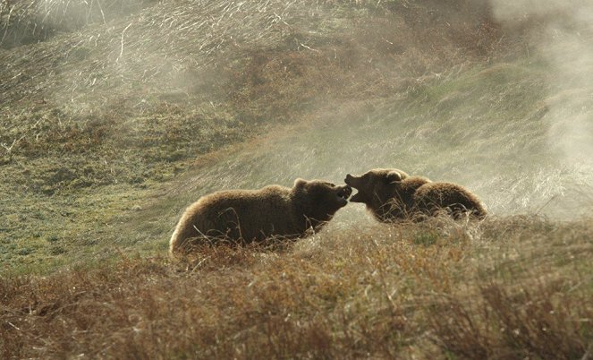 Land of the Bears - Film