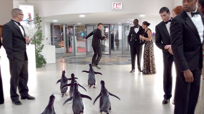 Mr. Popper's Penguins - Kuvat elokuvasta