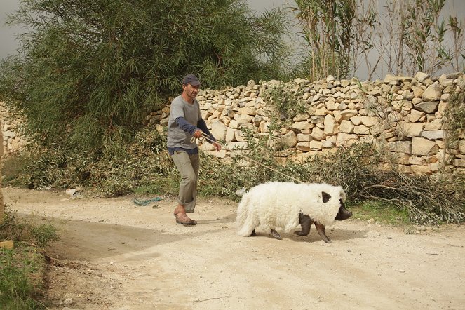Un cerdo en Gaza - De la película - Sasson Gabai