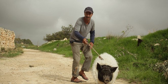 Le Cochon de Gaza - Van film - Sasson Gabai