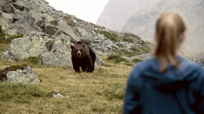 Clara und das Geheimnis der Bären - Van film - Ricarda Zimmerer