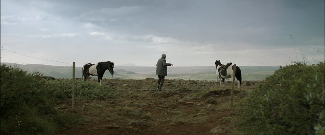 Of Horses and Men - Van film