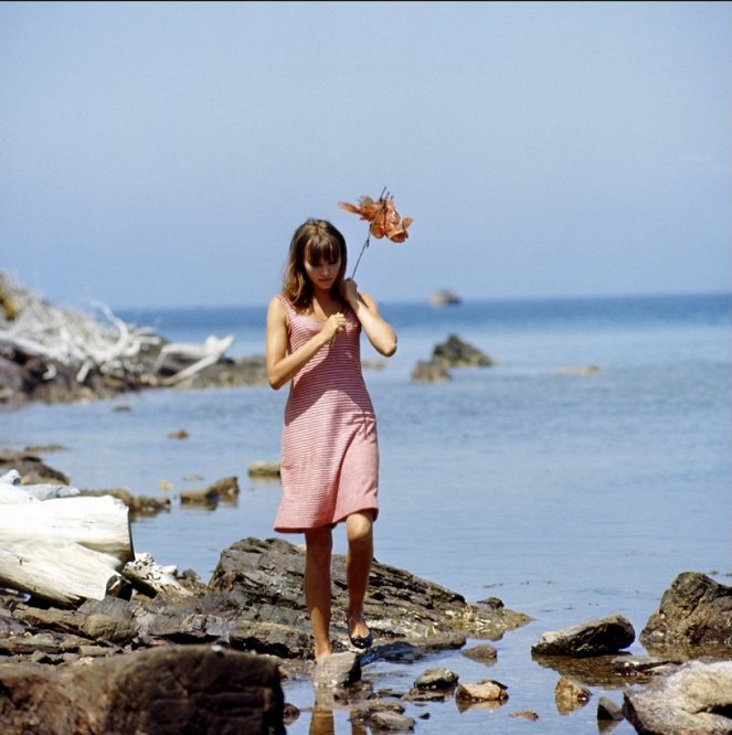 Pierrot le fou - hullu Pierrot - Kuvat elokuvasta - Anna Karina