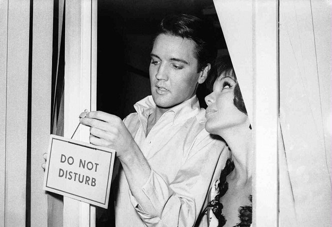 Kurven-Lilly - Filmfotos - Elvis Presley