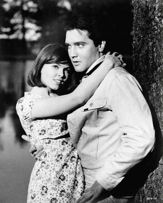 Suukottelevat serkut - Kuvat elokuvasta - Yvonne Craig, Elvis Presley