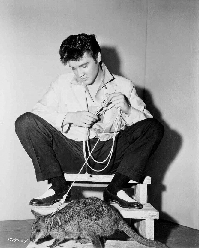 Jailhouse Rock - Van de set - Elvis Presley