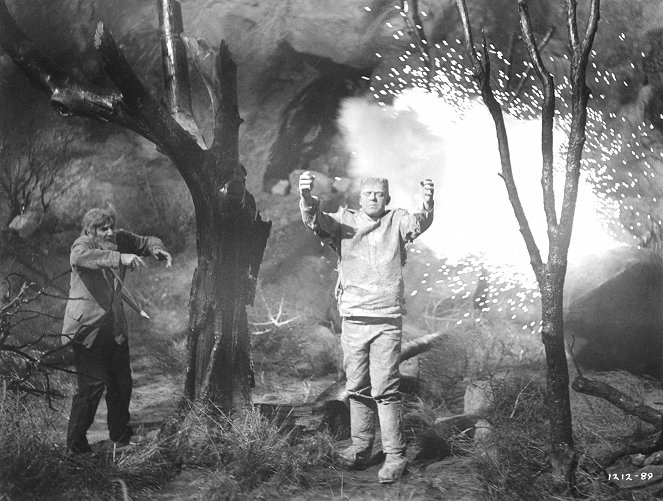 Frankenstein kehrt wieder - Filmfotos - Bela Lugosi, Lon Chaney Jr.