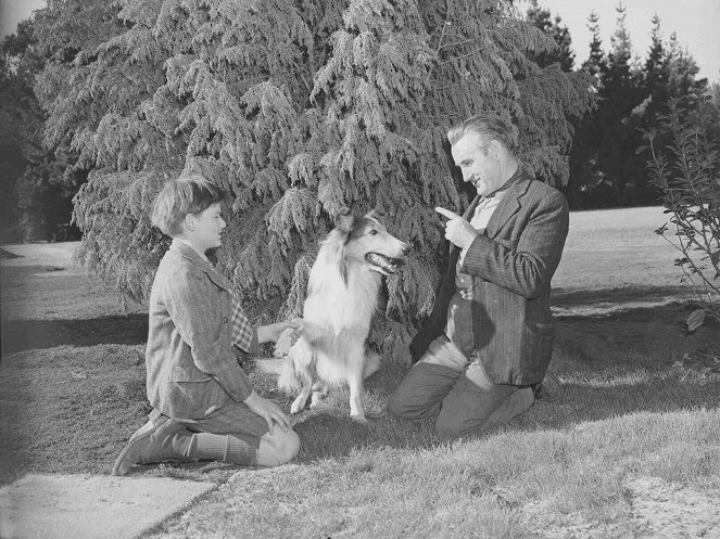 Lassie palaa kotiin - Kuvat kuvauksista - Roddy McDowall, Pal, Donald Crisp